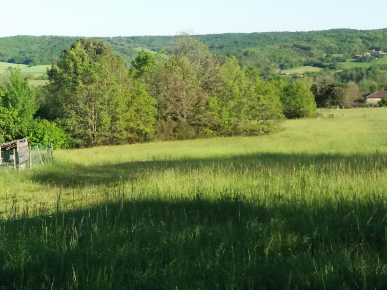vente Terrain à aménager Puycelsi - Photo 3