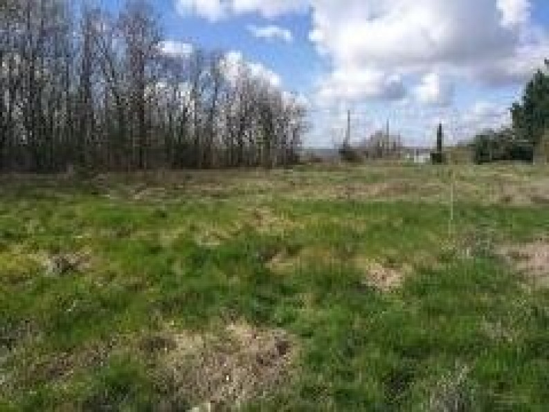 vente Terrain Fauch - Photo 1