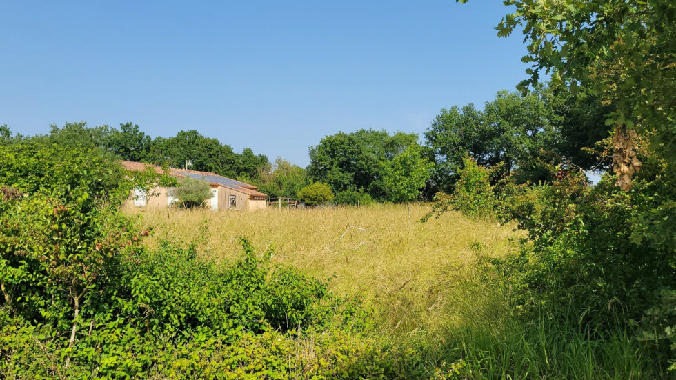 vente Terrain Fauch - Photo 2