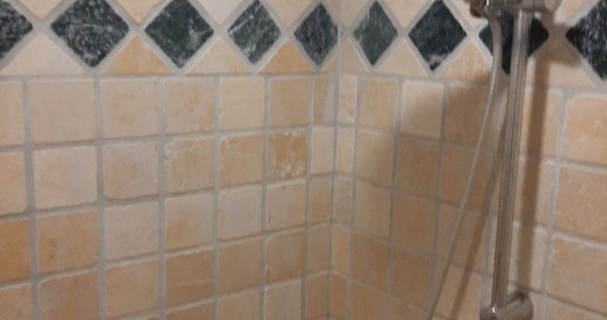 vente Maison de village Castelnau De Montmiral