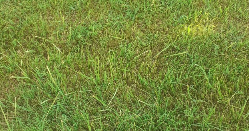 vente Terrain Saint Nicolas De La Grave