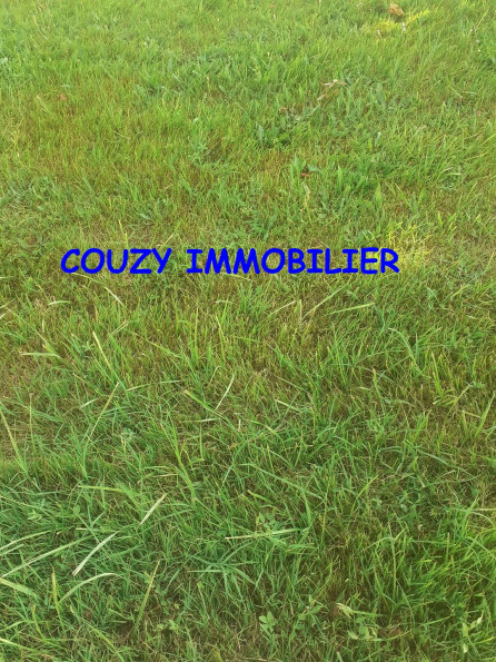 vente Terrain Saint Nicolas De La Grave - Photo 1