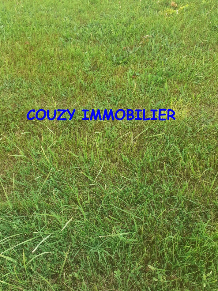 à vendre Terrain Saint Nicolas De La Grave - Photo 1