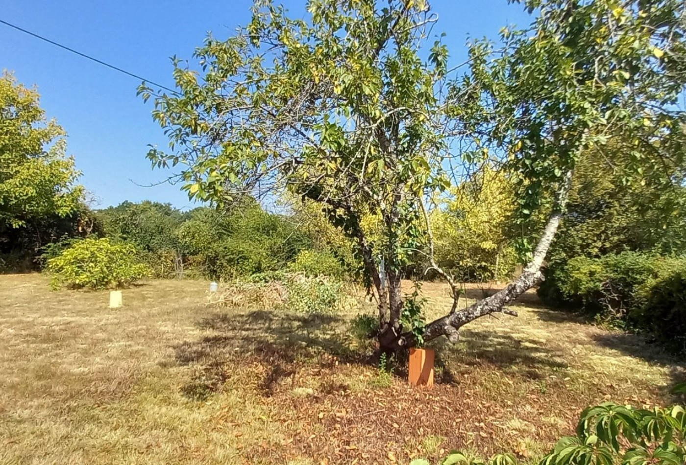 vente Maison La-ville-dieu-du-temple - Photo 8