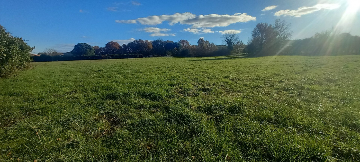 à vendre Terrain en lotissement Castelsarrasin - Photo 6