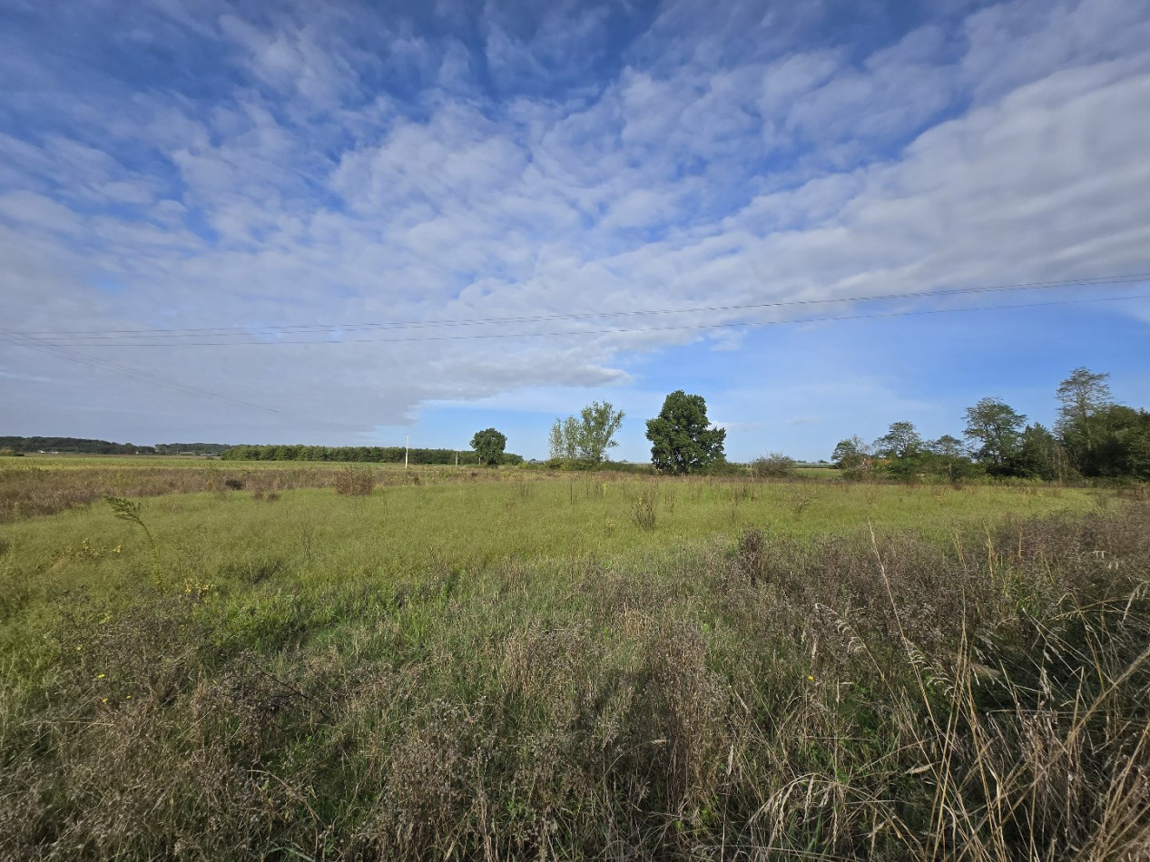 à vendre Maison Castelmayran - Photo 8
