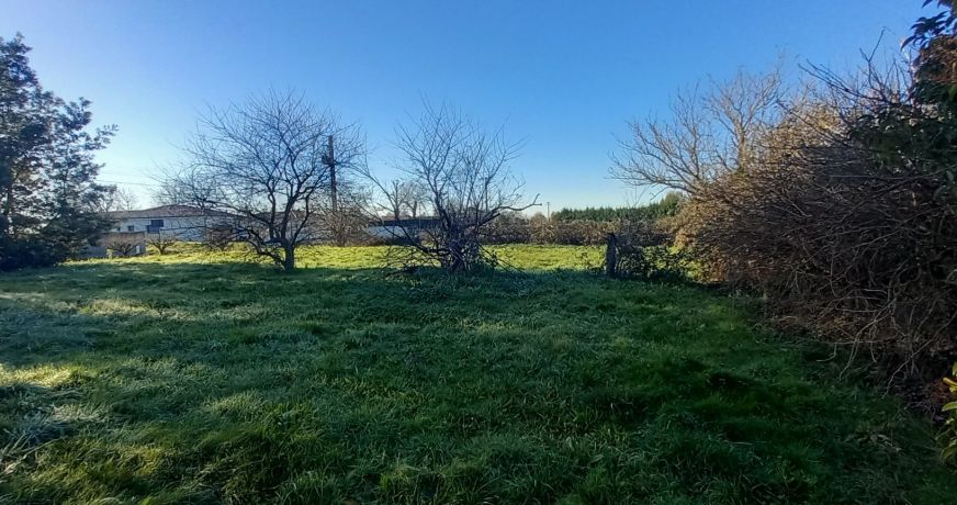 vente Terrain Montbeton