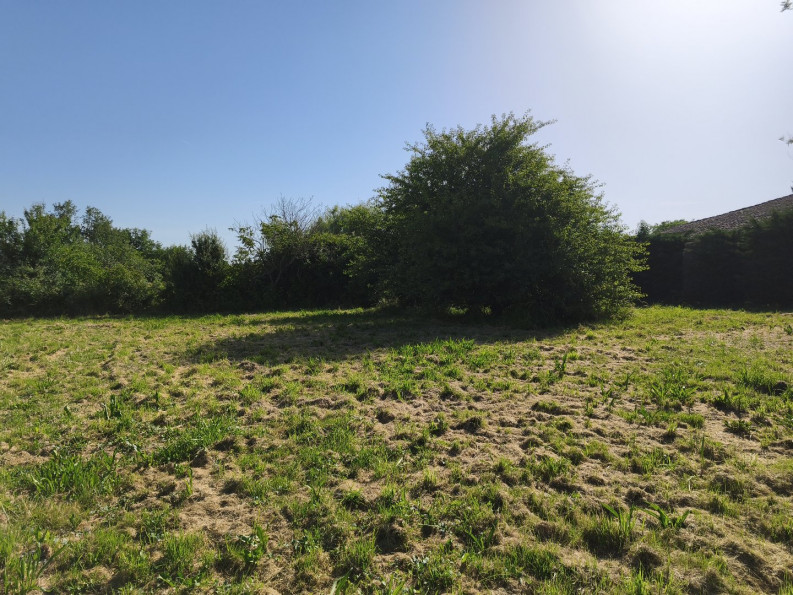 vente Terrain Montbeton - Photo 2