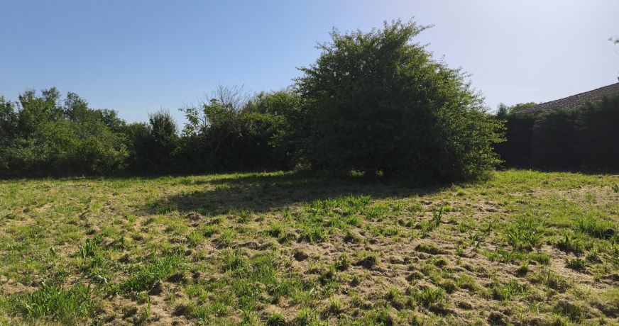 vente Terrain Montbeton