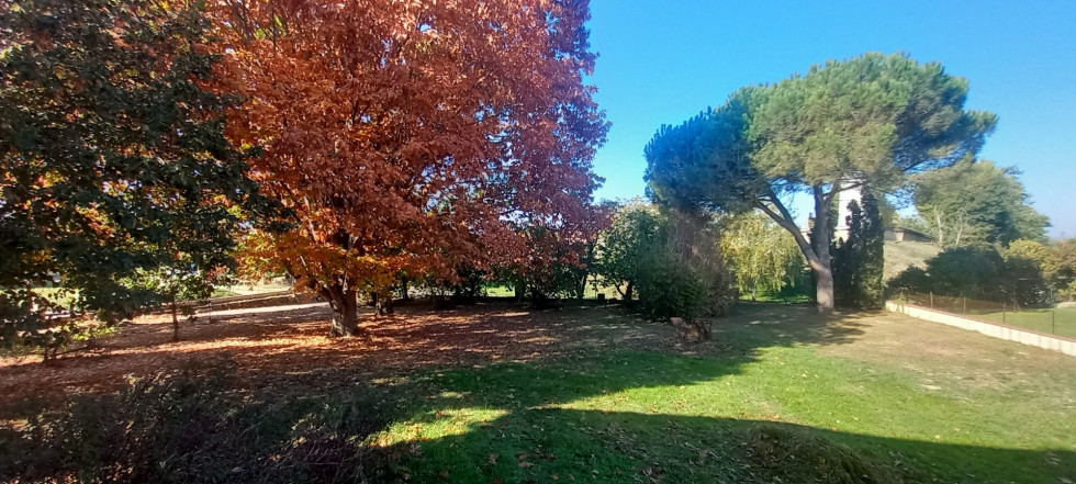 vente Maison Castelmayran - Photo 7