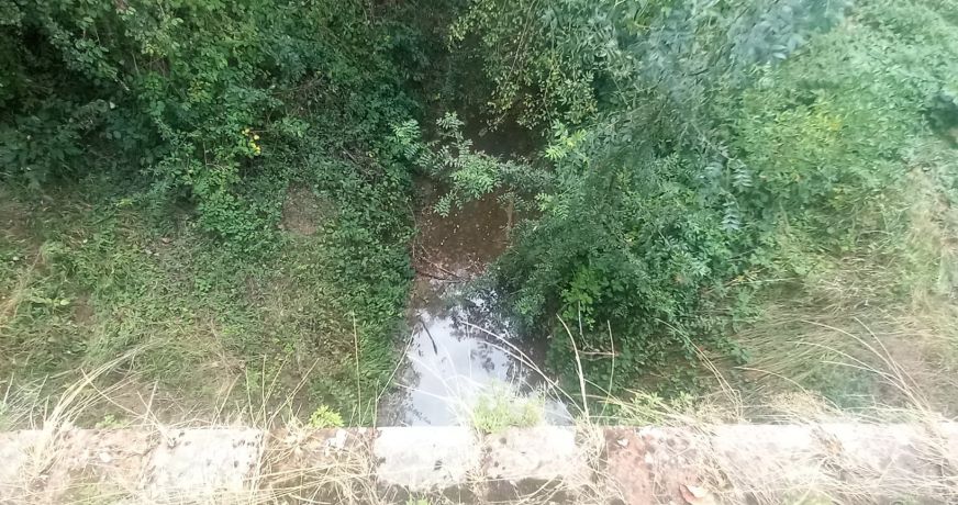 vente Terrain Comberouger