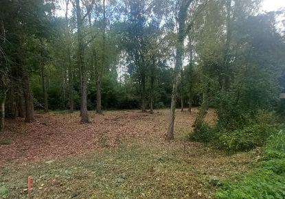 vente Terrain Comberouger