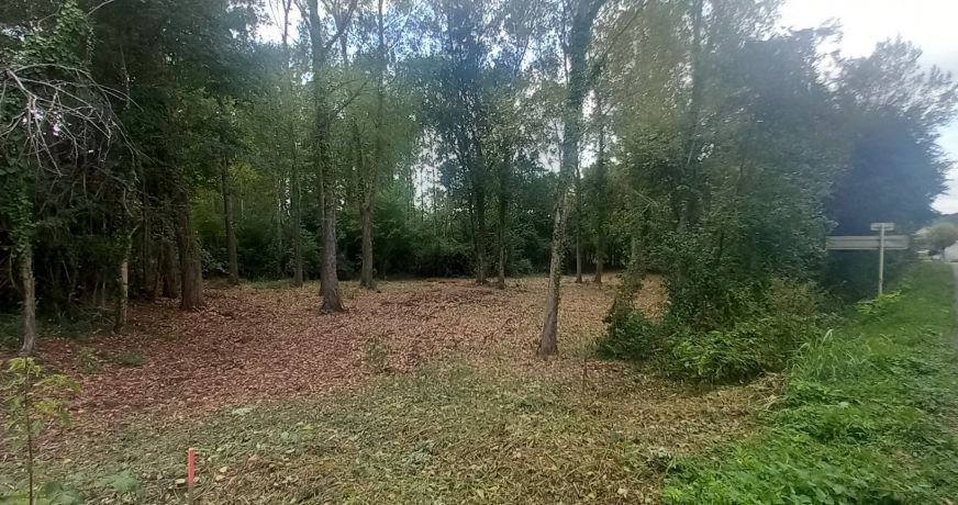 vente Terrain Comberouger