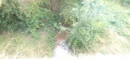 à vendre Terrain Comberouger