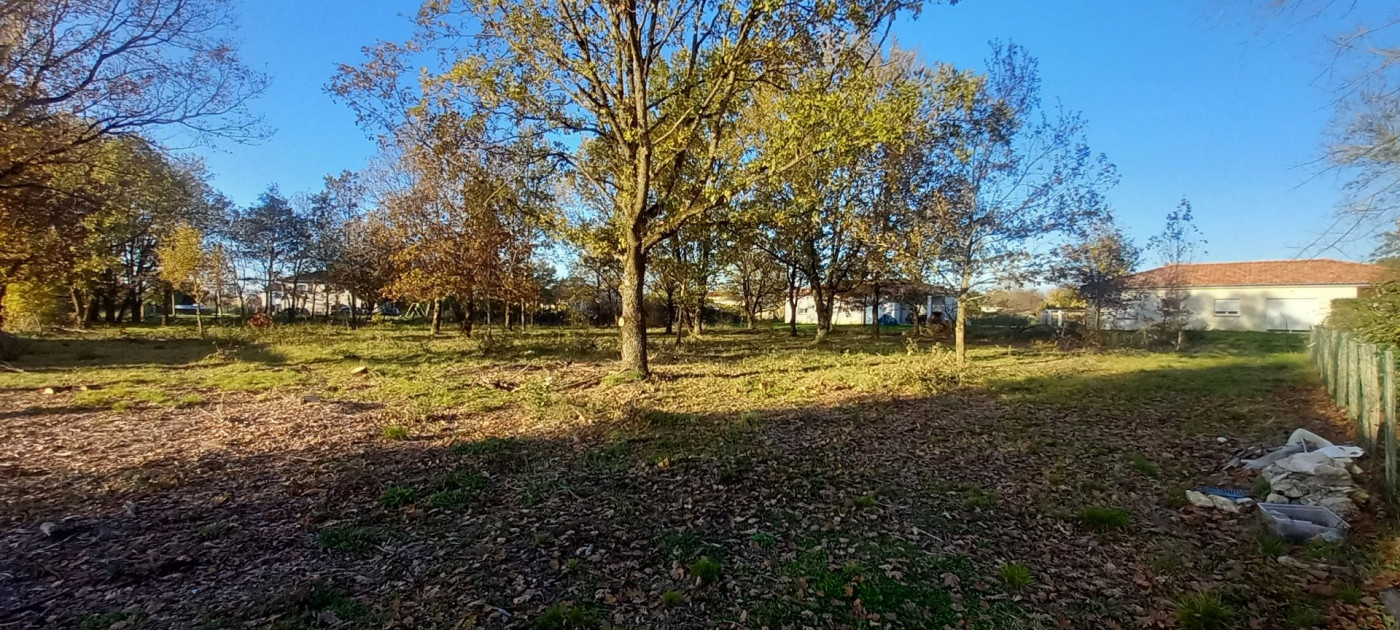 à vendre Terrain La-ville-dieu-du-temple - Photo 4