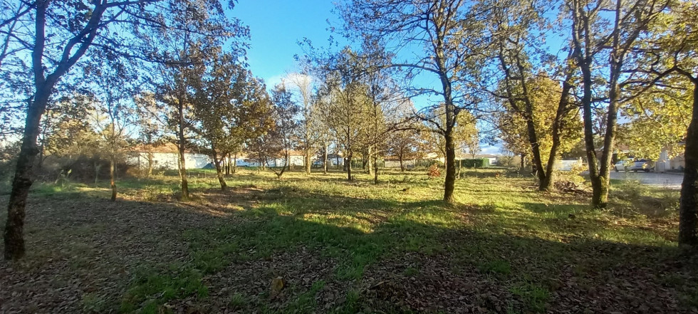 vente Terrain La-ville-dieu-du-temple - Photo 2