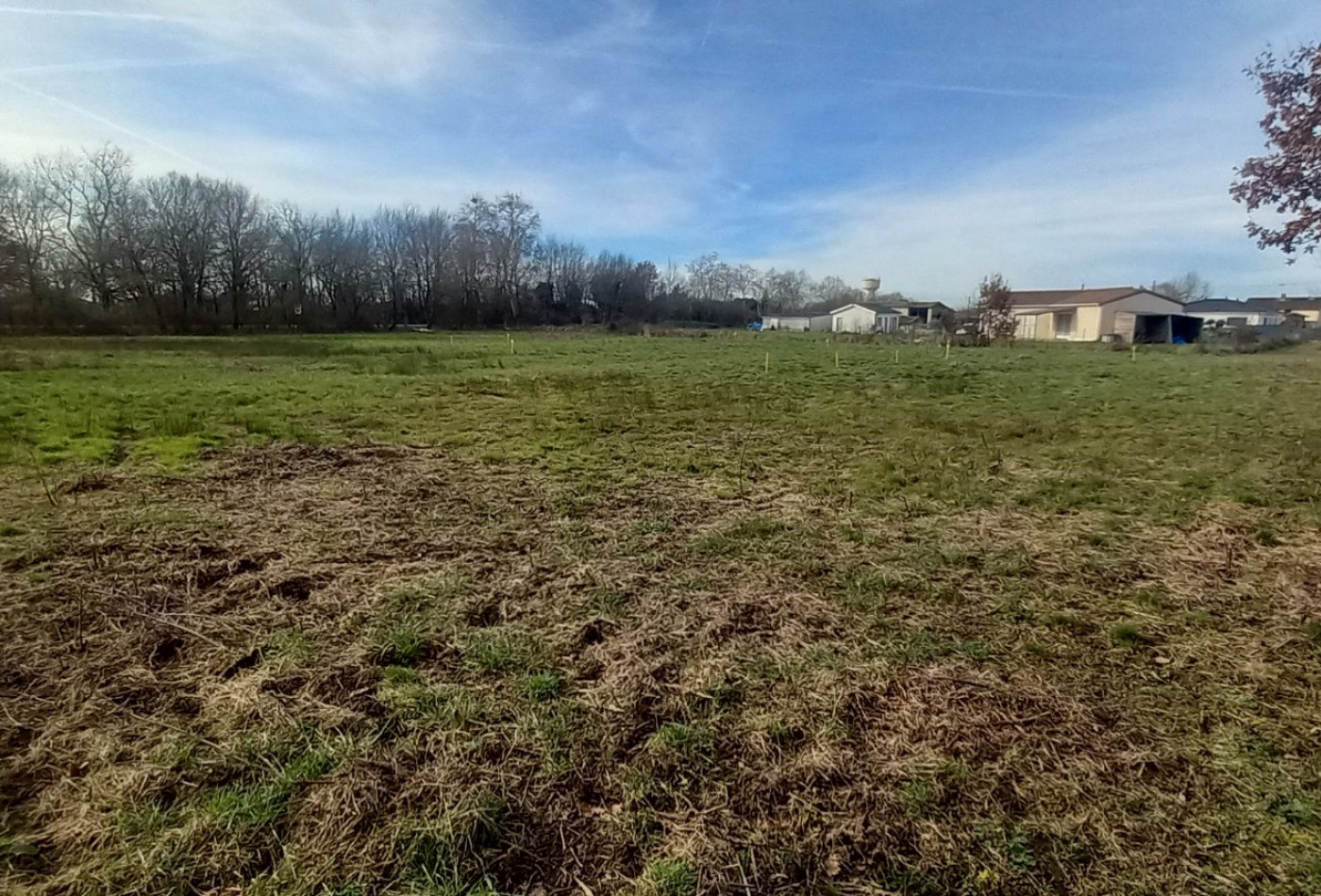 vente Terrain en lotissement Castelsarrasin - Photo 3