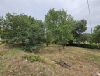 à vendre Entrepot Lavit