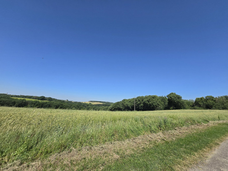vente Terrain Lavit - Photo 1