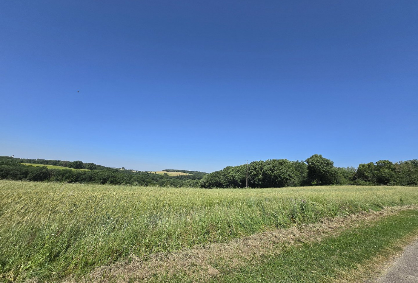 vente Terrain Lavit - Photo 1