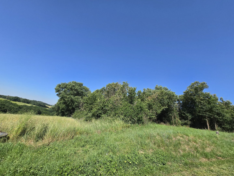 vente Terrain Lavit - Photo 1