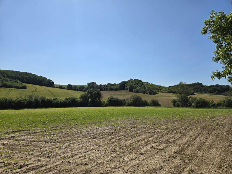 vente Terrain Lavit - Photo 1