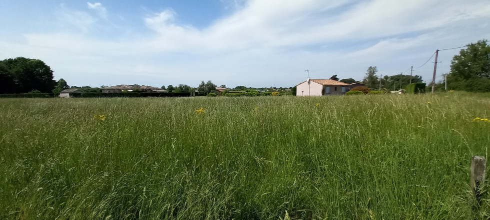 vente Terrain Castelsarrasin - Photo 1