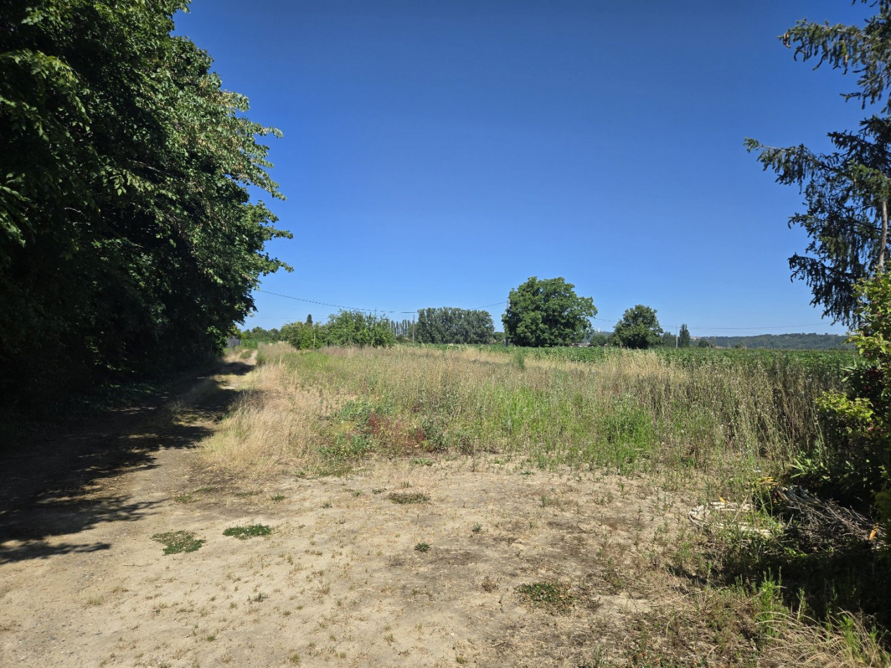à vendre Terrain agricole Saint Nicolas De La Grave - Photo 1