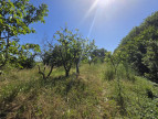 à vendre Terrain agricole Saint Nicolas De La Grave