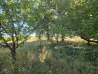 à vendre Terrain agricole Saint Nicolas De La Grave