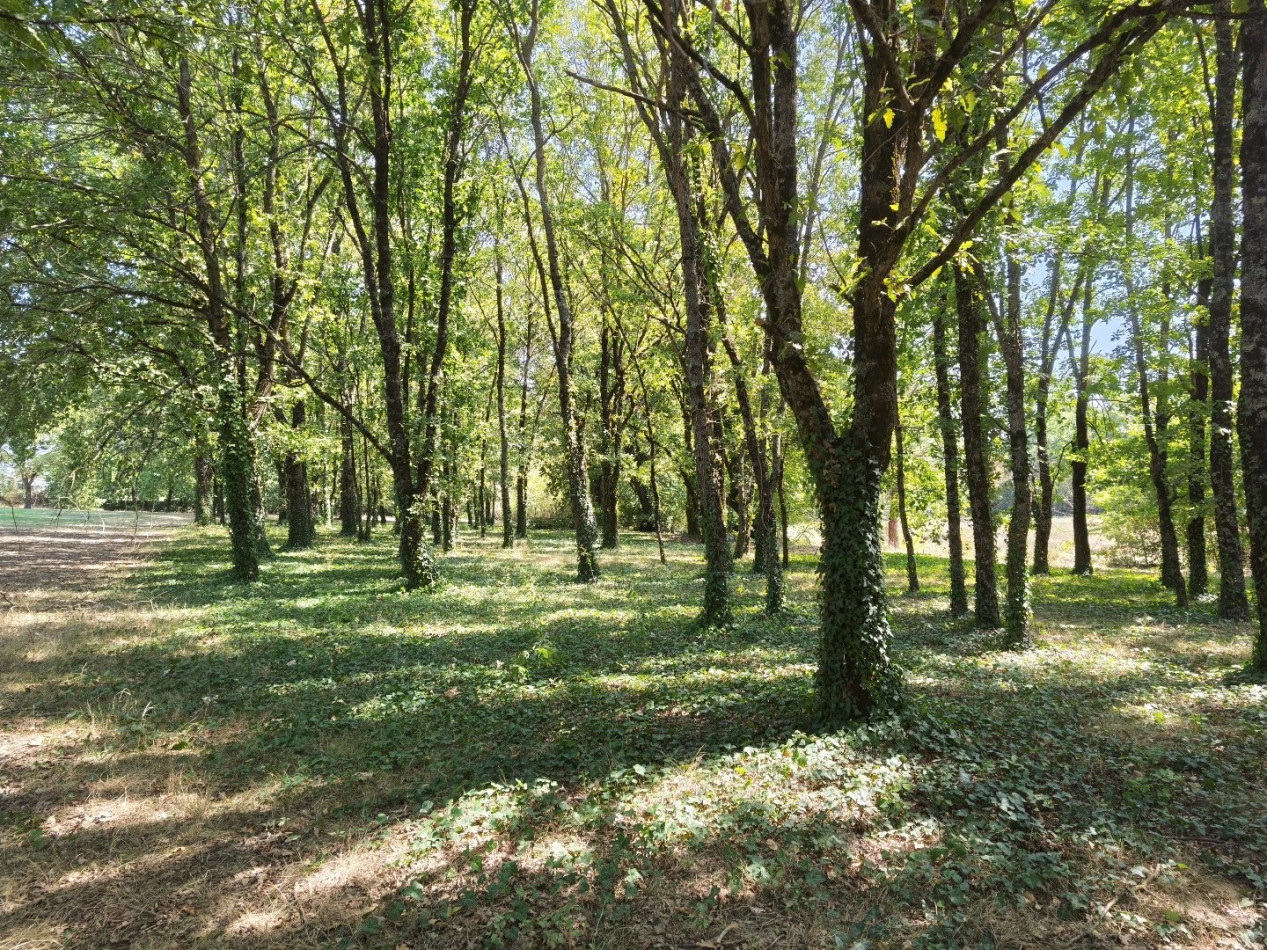 à vendre Maison Castelsarrasin - Photo 8