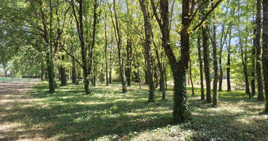vente Maison Castelsarrasin
