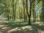 vente Maison Castelsarrasin