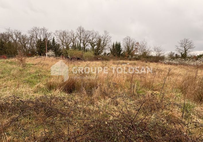 vente Terrain Montbeton
