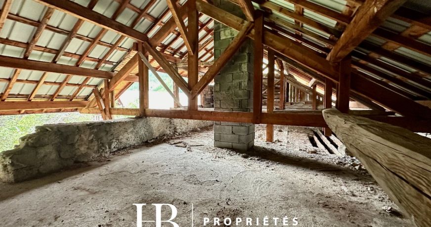 vente Maison en pierre Arvieux