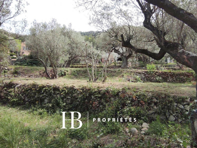 vente Terrain non constructible Toulon - Photo 4