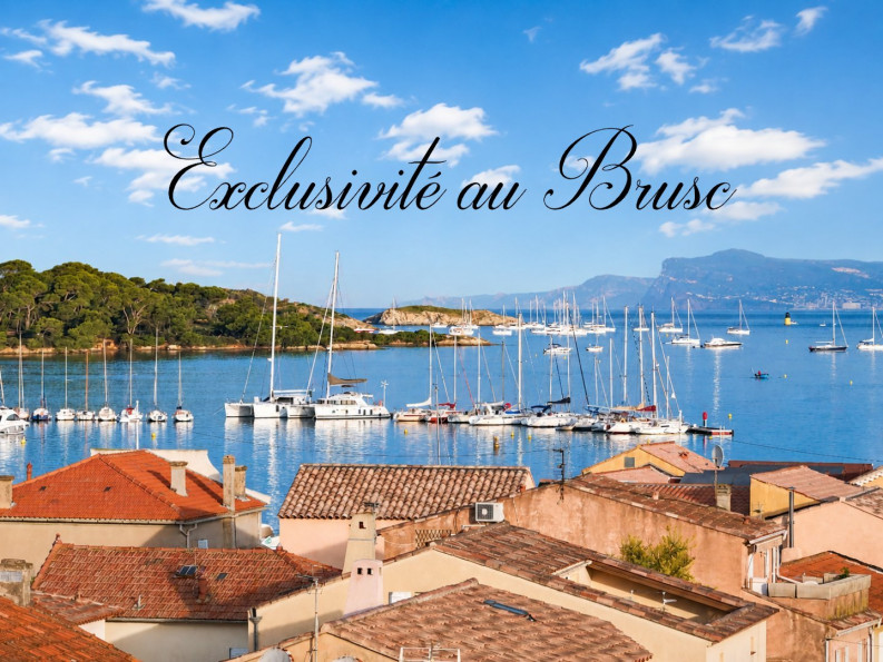 vente Appartement Six Fours Les Plages - Photo 1