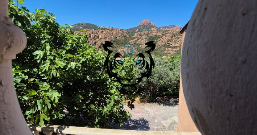 vente Maison Antheor