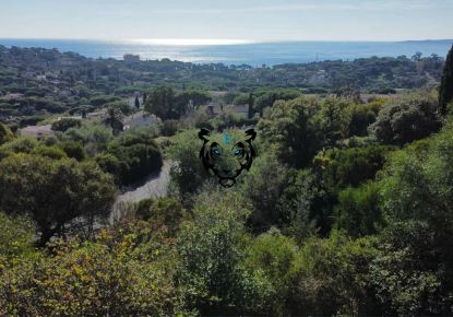 vente Terrain Les Issambres