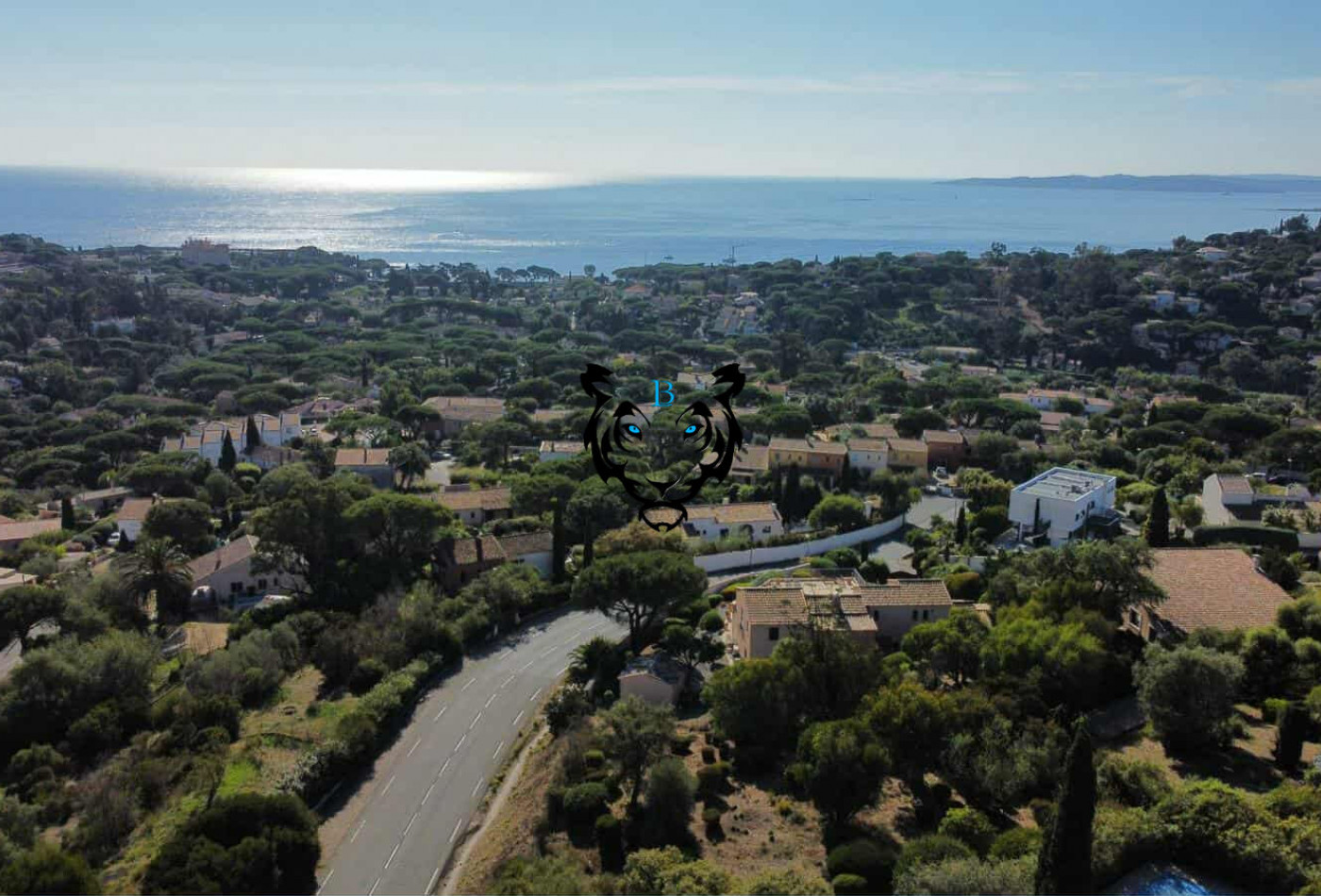 vente Terrain Les Issambres - Photo 2