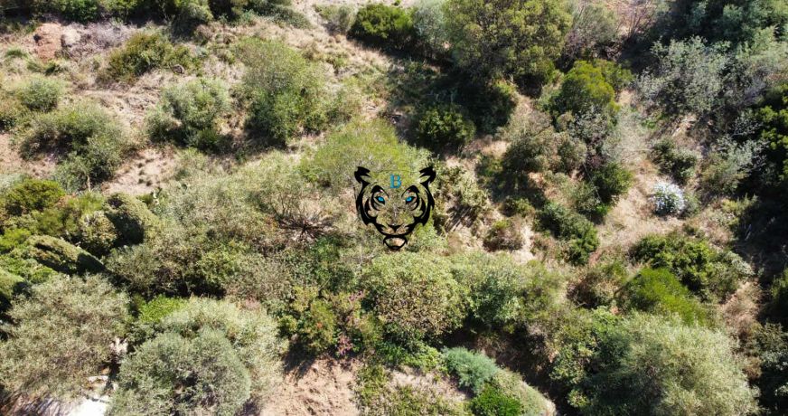 vente Terrain Les Issambres