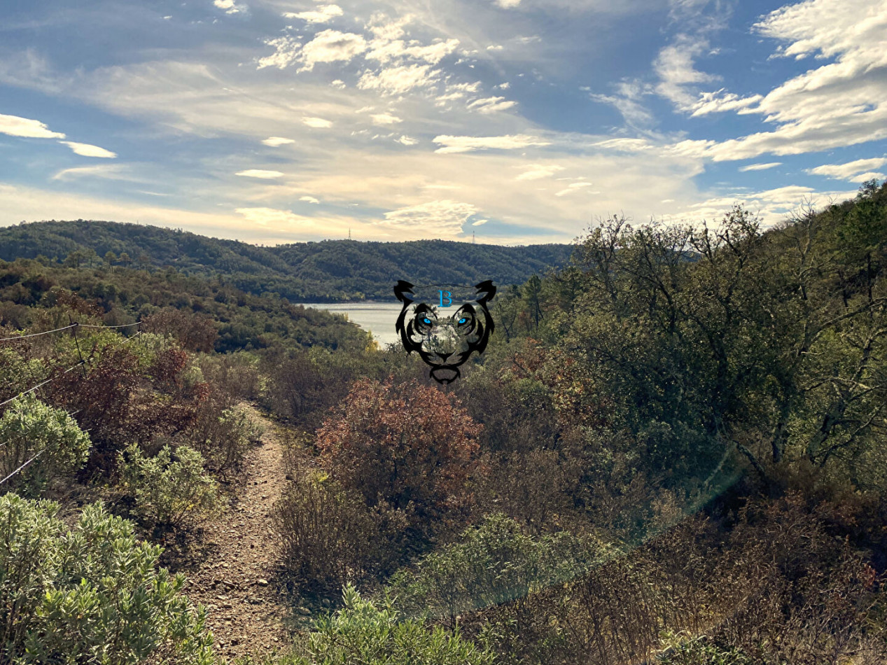 vente Terrain Montauroux - Photo 1