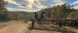 vente Terrain Montauroux