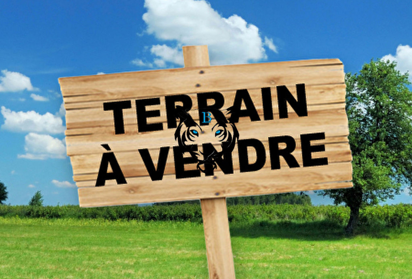 vente Terrain Montauroux - Photo 3