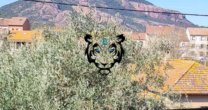 vente Maison Roquebrune Sur Argens