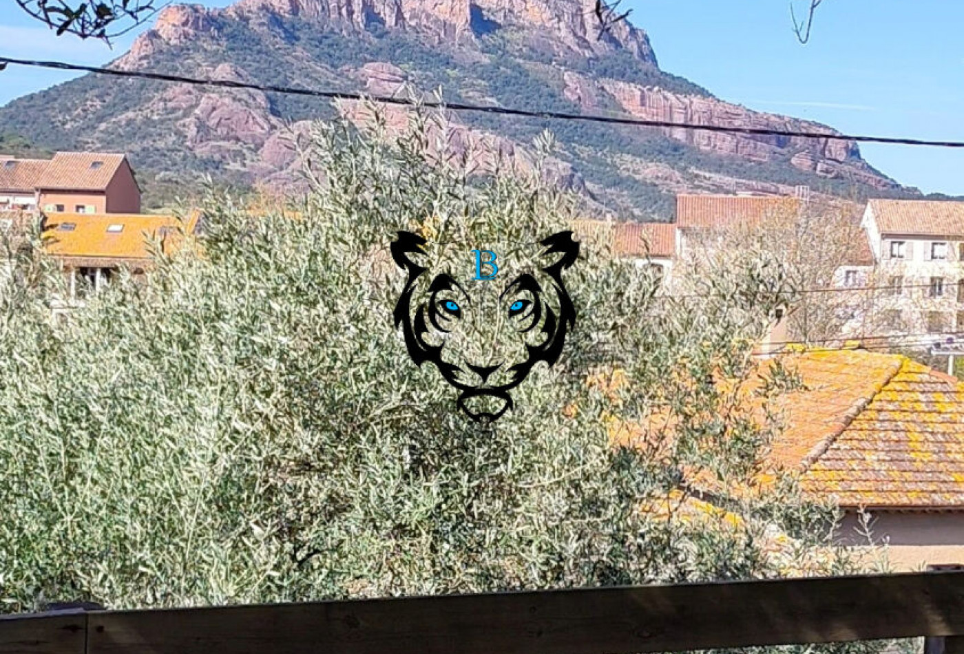 vente Maison Roquebrune Sur Argens - Photo 3