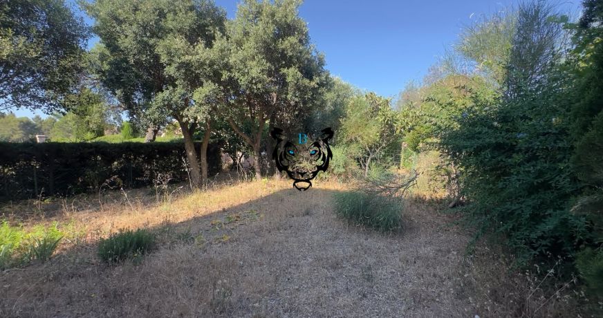 vente Maison Roquebrune Sur Argens