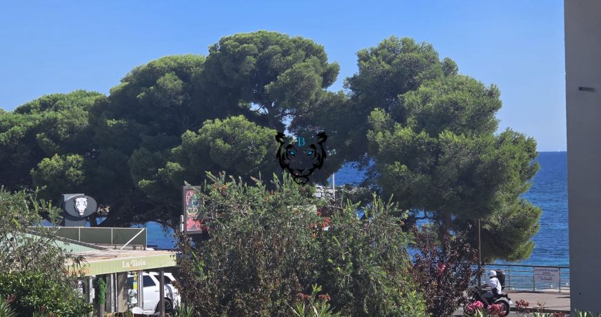 vente Appartement Les Issambres