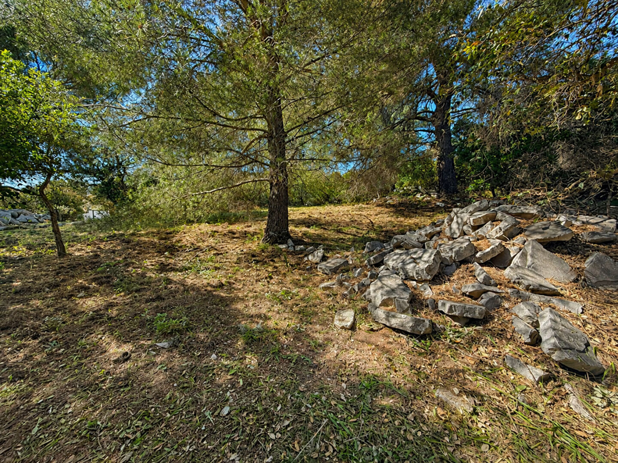 vente Terrain Les Issambres - Photo 3