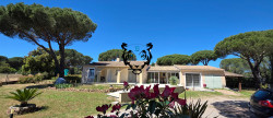 vente Maison Le Muy